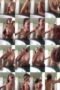 dbn3rtzkc9s8_xt