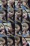 vmypi0xnzk56_xt
