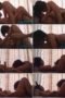 ww88nhrw1w9d_xt