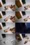 gy2fj77syaeh_xt