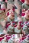 22sgrh6k268u_xt