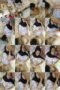 zxm64fqgsh3x_xt