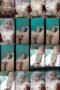 8zxes6x2bdrt_xt