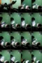 0qbwzdx11ac6_xt