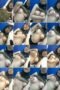 69ennlb4797j_xt