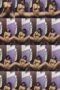 npjxg277emyy_xt