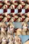 dl3al4qtx7my_xt