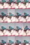 i9p8wbbix3490lm2
