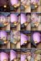 5914hic5p2h5_xt