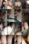 bkw0xq85heay_xt