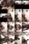 69iy1s5y5p6c_xt