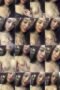 idipfaajm7jr_xt
