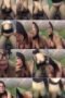 tlluh5q16gvx_xt