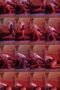 7eih2wlwpkss_xt