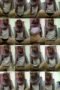 ccwe5jdeq29i_xt