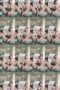 izmvreb9l33k_xt