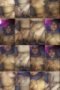l66llakuze3o_xt