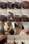 pauv4c5qzvqw_xt