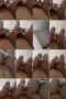 qrunap03fsjl_xt