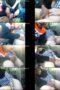 z25dll3wcehgis8w