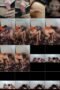 asm7fyjbjq3x_xt