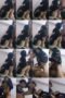 l8i7wtawplbz_xt