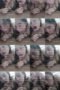 hk78kp54jysw_xt