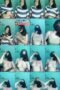 u44owplrzovtr40e