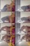 sbi8ipmhfxhovgfc