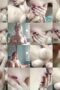 Mia Tiktok Tobrut Live Colmek